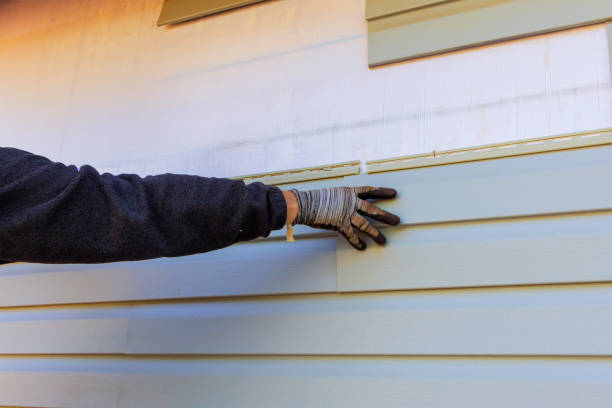 Best Aluminum Siding Installation  in Weirton, WV